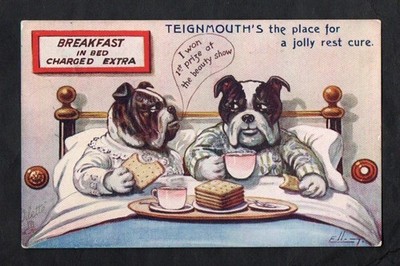 Ellam BULLDOGS   Breakfast in Bed, Tuck
