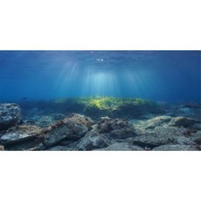 Ocean Floor Fish Tank Backdrop Underwater Stone Aquarium Backdrop 48x24 in