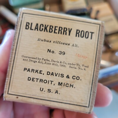 Old Vintage druggist Park Davis Co Detroit MI blackberry root medicine in box