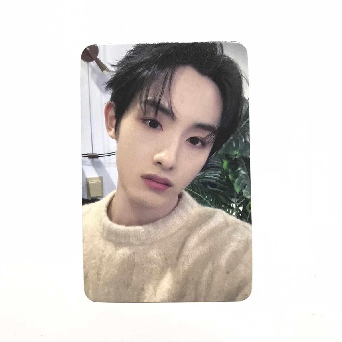 WayV OnMyYouth ヤンヤン Interasia ヨントントレカ WayV OnMyYouth ヤンヤン Interasia ヨントントレカ 2025年最新