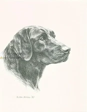 #260 BLACK LABRADOR RETRIEVER dog art print * Pen and ink drawing by Jan Jellins