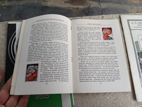 VINTAGE BAUERNHOFBÜCHER HOLSTEIN KUH FEUERSTEIN GEFLÜGEL PA SPIEL COM. QUAKER HAFER ETC. - Bild 5 von 6
