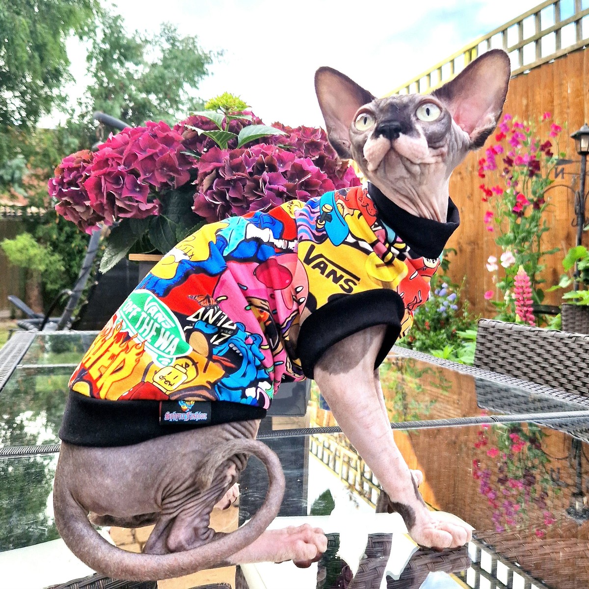 LOGO Cotton Knitt Sphynx Cat Top, Devon Rex, Peterbald, Pet Cat