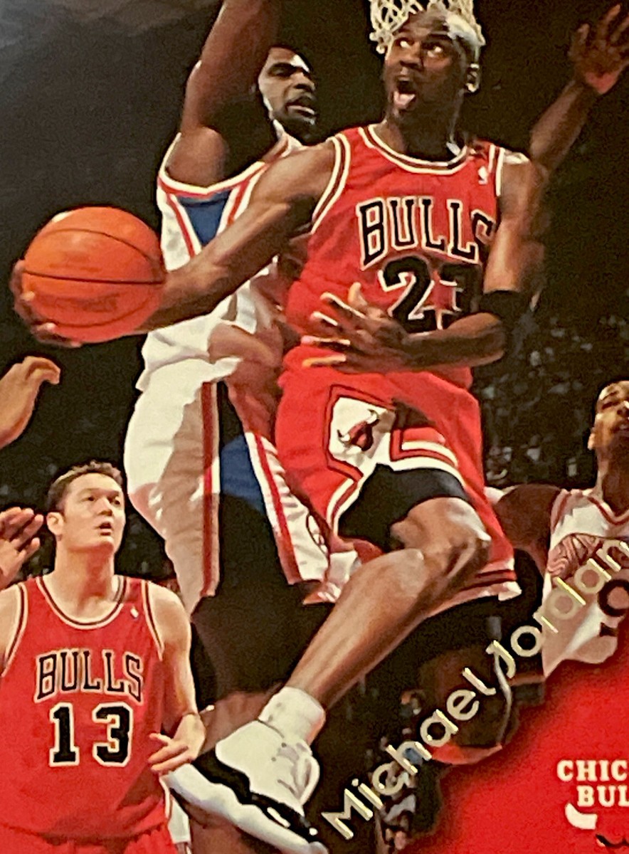 1996-97 Skybox NBA Hoops Michael Jordan #20 Chicago Bulls NBA HOF