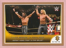 2016 Topps WWE Road to WrestleMania Bronze #90 Tyler Breeze and Adam Rose