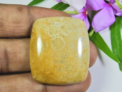 Branche De Corail Rouge Naturel Poli - Pierre Précieuse Lâche - Environ 11 Carats - Neuf Sans Emballage