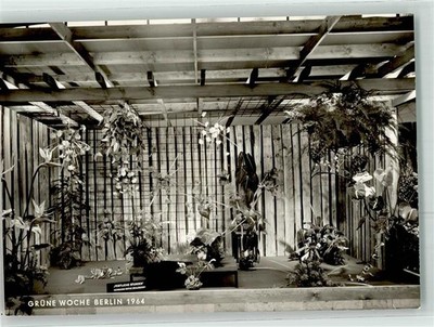 39461508 - 1199 Westend Gruene Woche Ausstellungshalle VI Pommern Blumenschau
