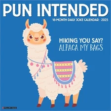 Pun Intended 2026 12 X 12 Wall Calendar (Bookbook - Detail Unspecified)