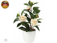 KüNstliche Zimmerpflanze Kamelie Kunstpflanze Camellia Japonica Im