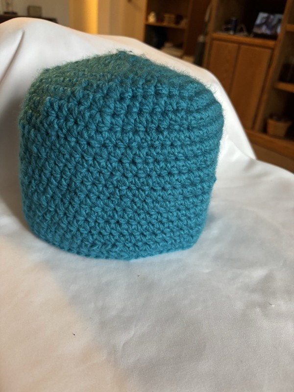 NEW Handmade Crochet Hat Teen Adult / FREE US SHIPPING
