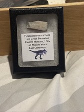 T-REX Caudal Vertebra Bone (Tail) ~40mm Rare Hell Creek Dinosaur Fossil Ref506