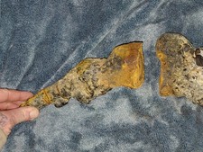 15 Th 16th Century Black Powder Pistol Encrusted And Turned In nto Staone