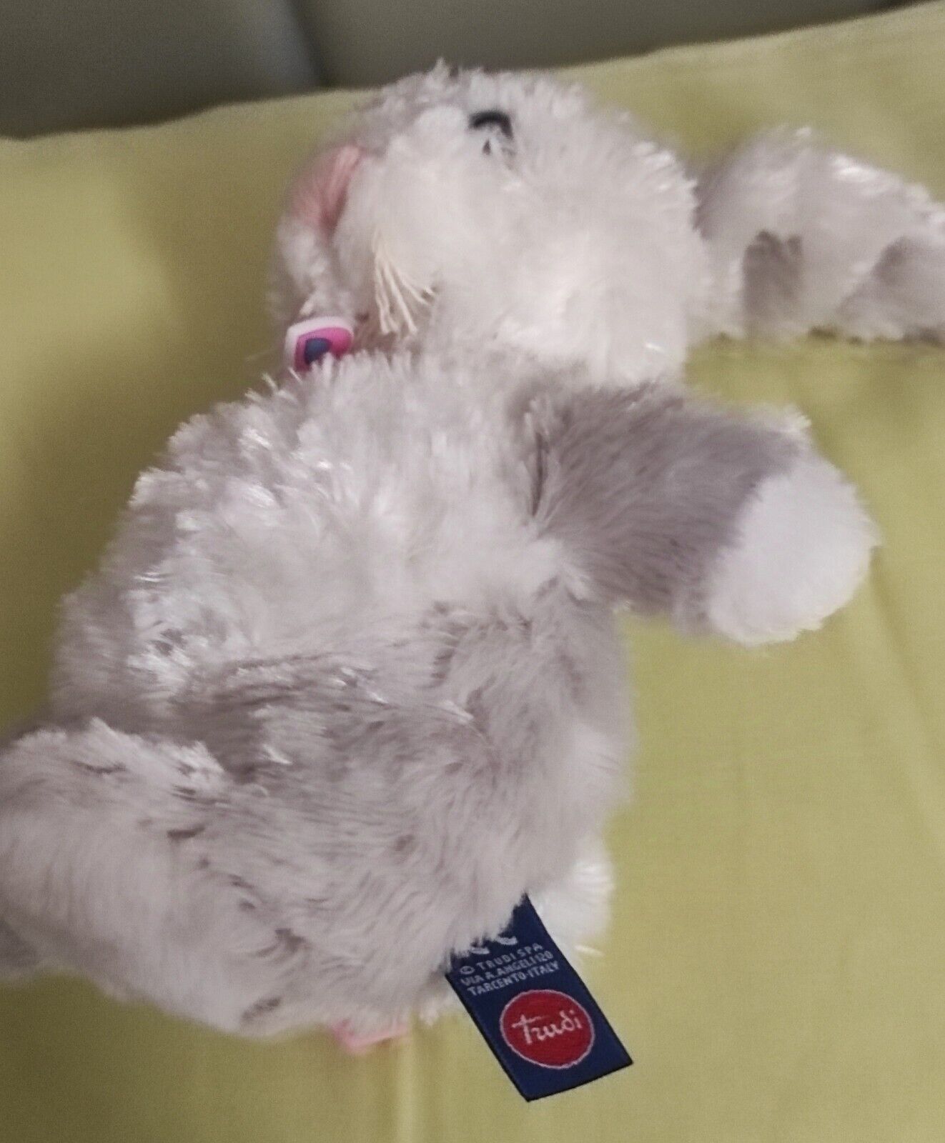 Foto 2 di 3