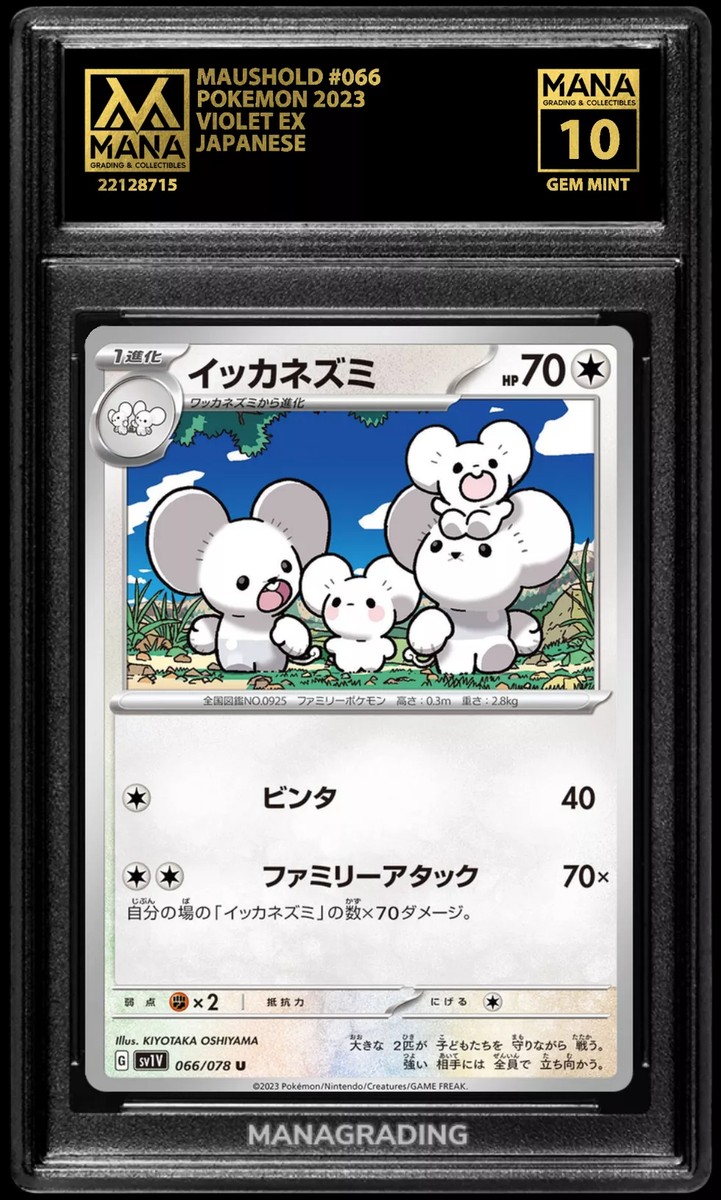 Pokemon MAUSHOLD #066 VIOLET EX MANA 10 GEM MINT PSA 10 BGS