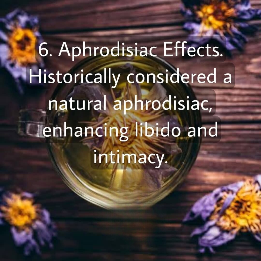 Blue Lotus Whole Flower Tea Decor No Chemicals A Grade Wild Grown Organic Herbal