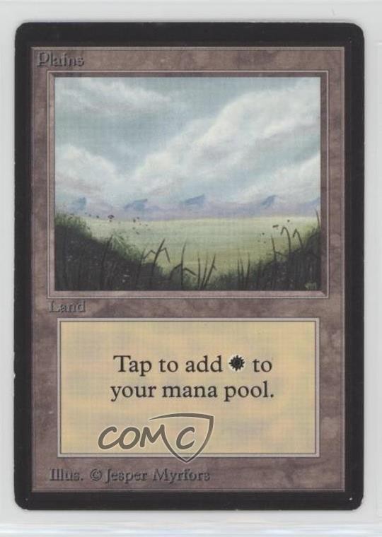 Plains (Open Meadow) Magic: Limited Edition Beta 1993