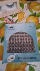 NIB House Of Lashes BOUDOIR LITE False Lashes 2 Pairs & Evershine Extentions — photo 4