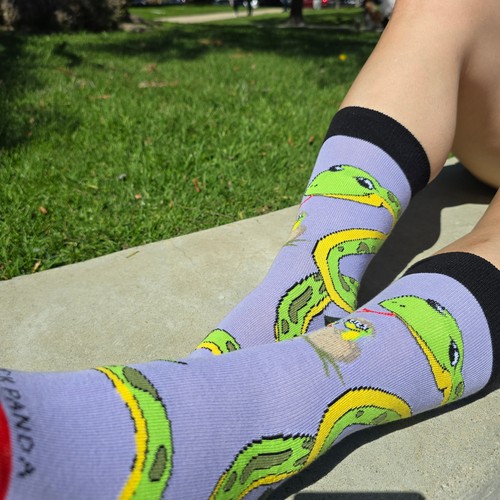 Happy Tree Snake with Babies Socks from the Sock Panda (Adult Small) - Picture 2 of 8