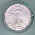 2007-W SILVER AMERICAN EAGLE - KM#273 - ORIGINAL BOX & COA - UNCIRCULATED