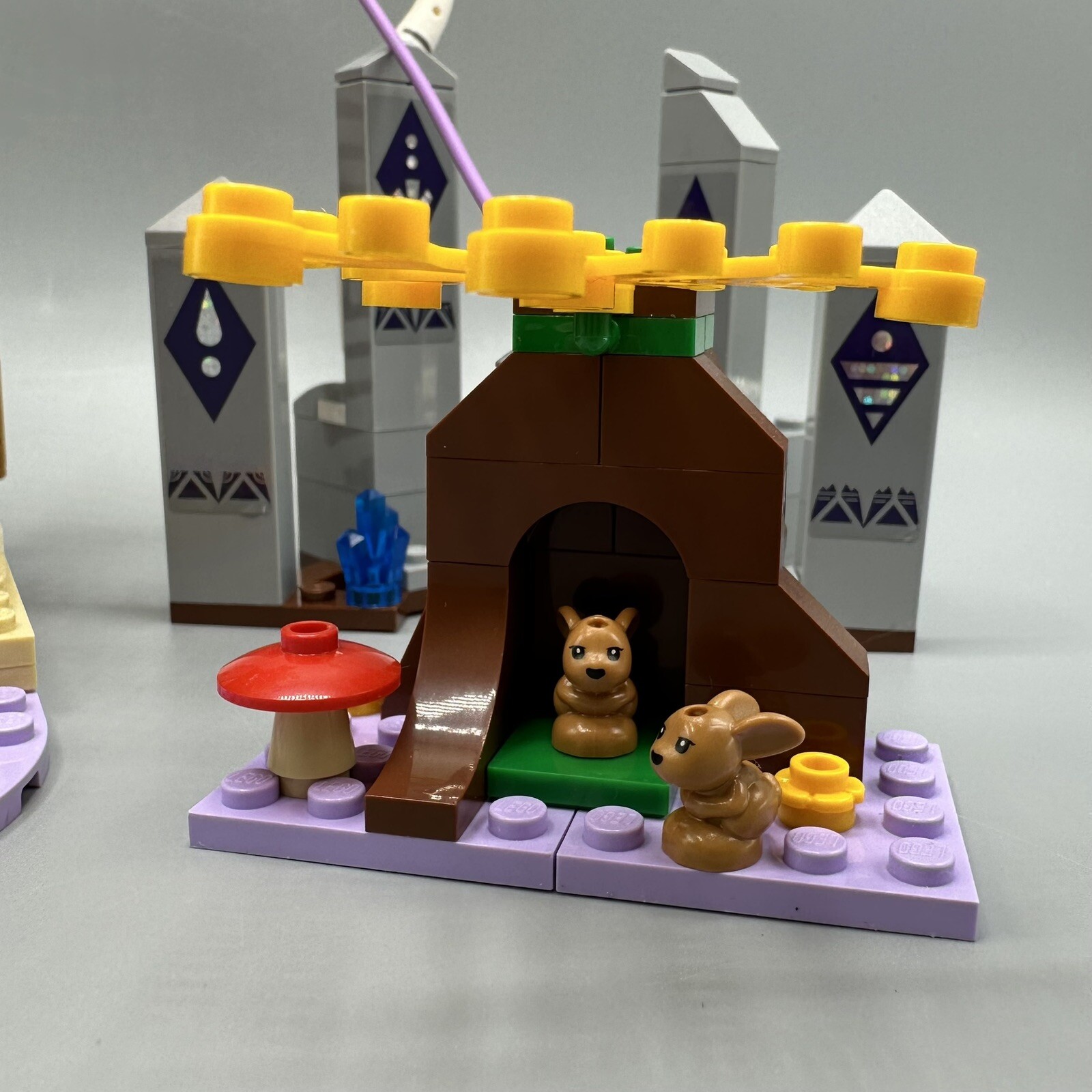 Picture 6 of 14