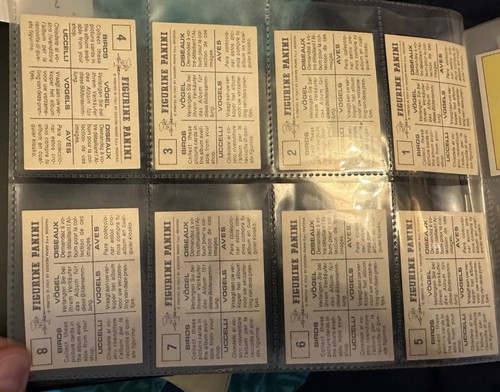 PANINI BIRDS : RARE COLLECTION OF LOOSE STICKERS 1-300 COMPLETE ALL IN VGC 1979 - Picture 2 of 10
