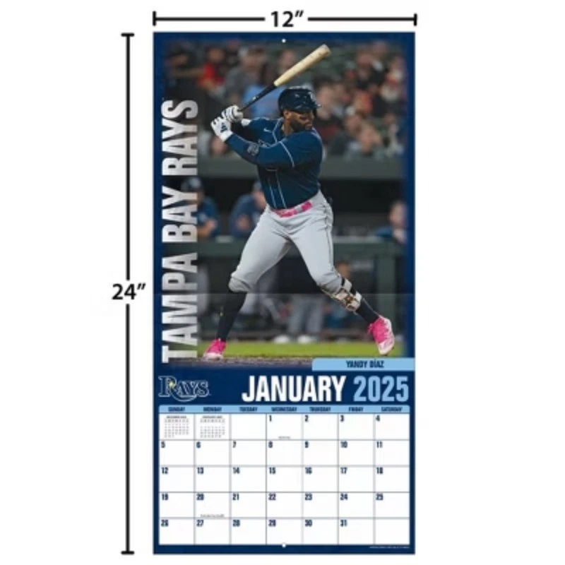 Tampa Bay Baseball 2026 Team Wall Calendar