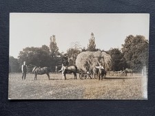Taunton Postcard C1910 Real Photo Farming History Hay Wagon Heavy Horse Somerset