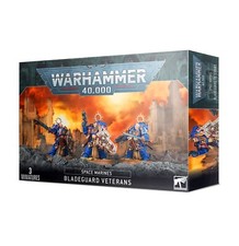 Warhammer 40K, Space Marines: Bladeguard Veterans
