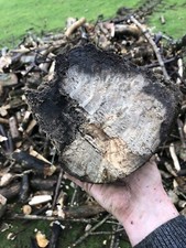 Logs, Fire Wood, Branch Logger, Wood Processor REMET www.remetcnc.co.uk