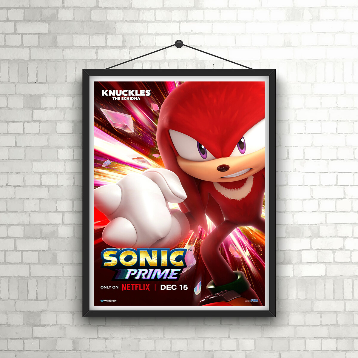 Sonic Prime Poster : r/SonicTheHedgehog