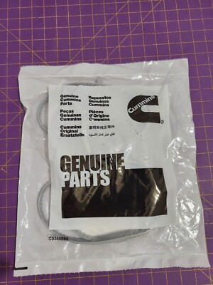 Cummins 3999820 Breather Gasket