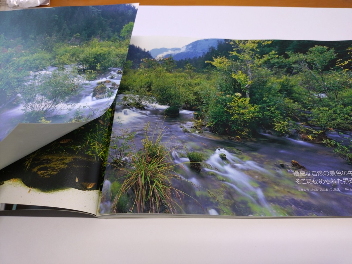 The Book of Aqua Design Amano ADA Concept Products | Japanese