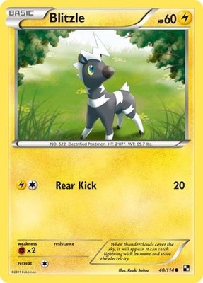 Blitzle (40) - BLANW 040 Pokemon - Medium Play