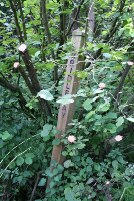 Foto 6x4 versteckte Anweisungen Coptiviney jüngste Aktivität erlaubt Anblick von c2007