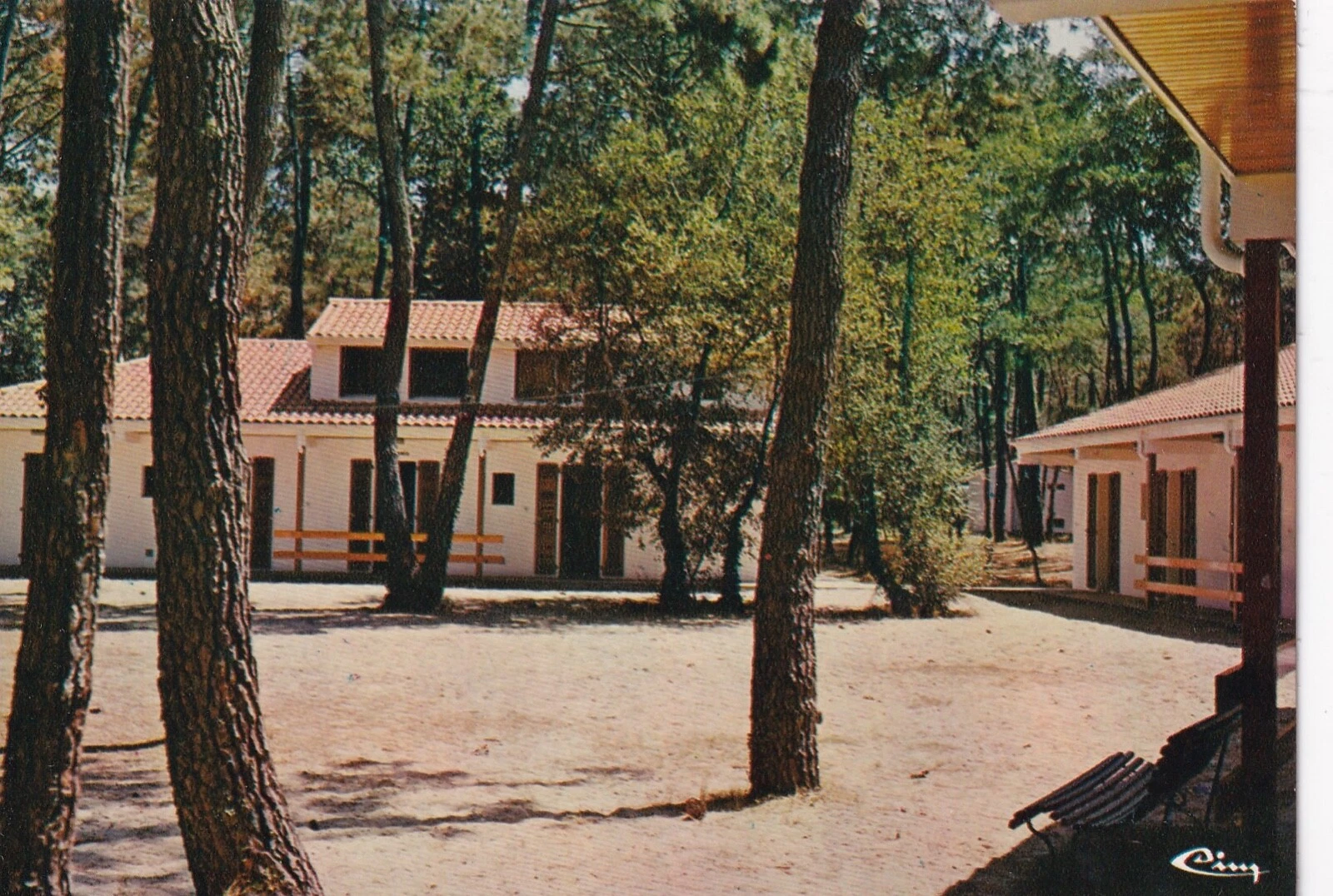 Photo 1/1
