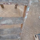 Bild 8 von 14