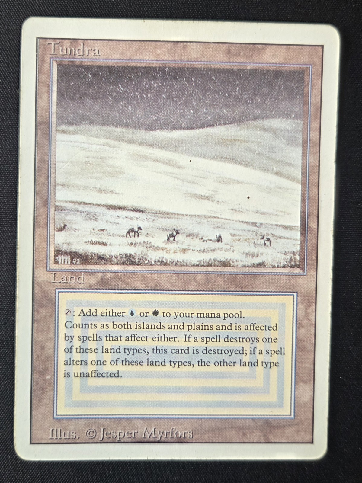 MTG Tundra Revised Edition HP