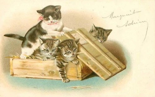 Rare Antique Early 1903s Vintage Litho. French Postcard Sweet Kitty Cats