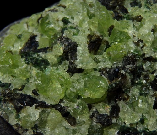 OLIVINE - FORSTERITE PERIDOT xenolite in basalt -- CZECH REP. Smrčí /pi688 - Picture 10 of 18