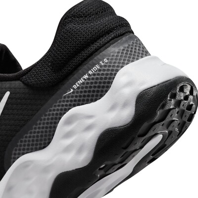 Nike RENEW RIDE 3 Men display picture 1