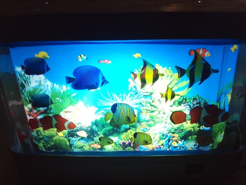 Aquarium Lampe - Fische bewegen sich - 3D Effekt Nachtlicht Kinderlampe - Bild 3 von 8