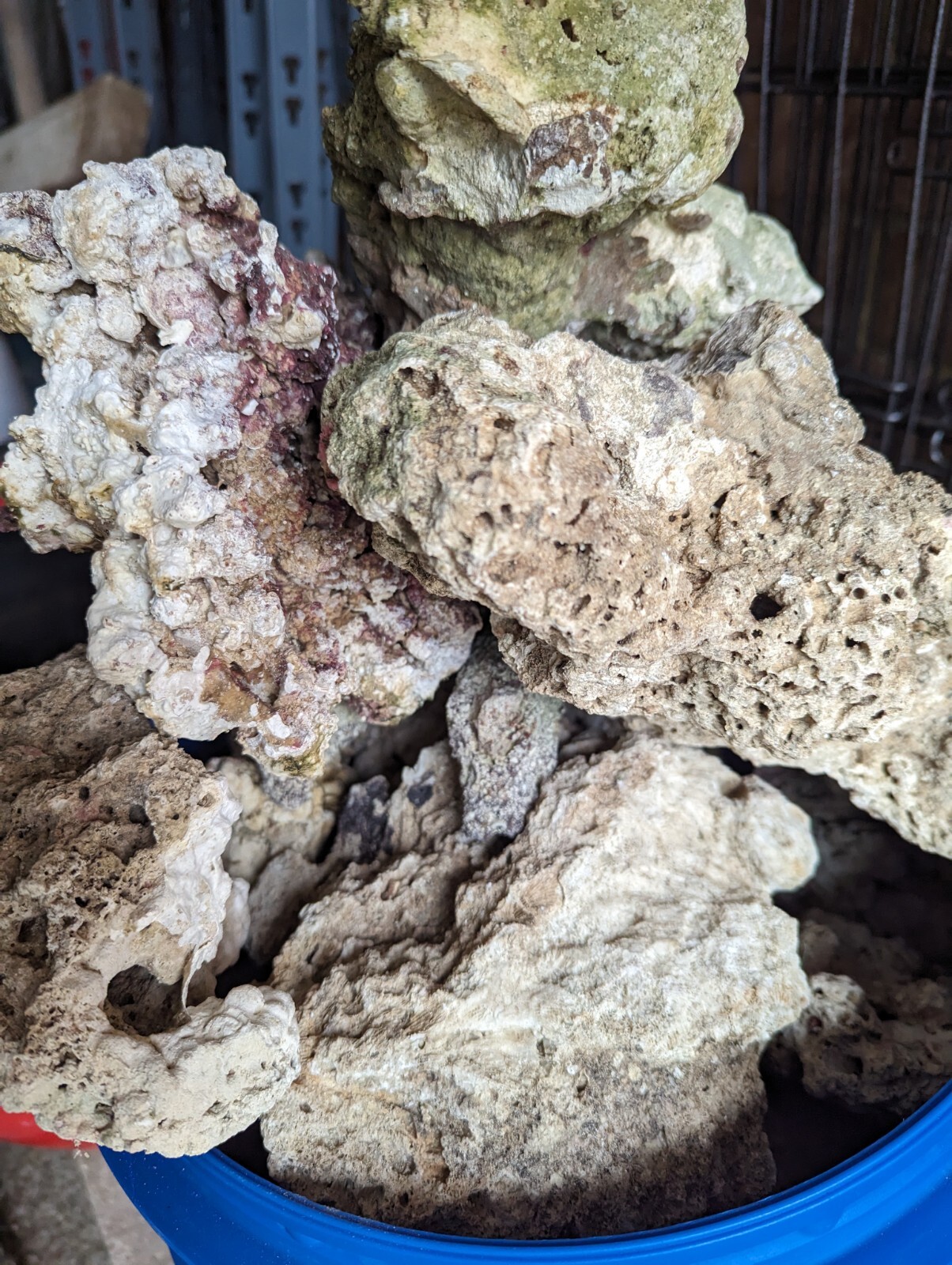 Marine aquarium live rock eBay