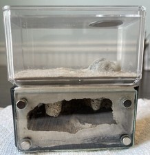 Mini Hearth DIY Nest Use For Large Camponotus Cruentatus 5-9w Ant Farm Queen Hut