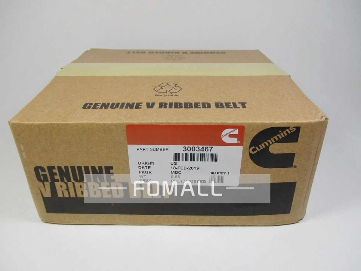 1 PCS New 3003467 Cummins V-Ribbed Fan Belt | eBay