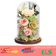 Flowers for Delivery Preserved Flowers Rose in Glass Dome,Champagne Rose Forever