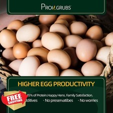 PROILGRUBS 5lb Dried Black Soldier Fly Larvae Chicken Treats