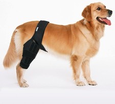Dog Knee Brace, Dog Leg Brace for Cruciate Ligament Injury or Recovery XL 1191N