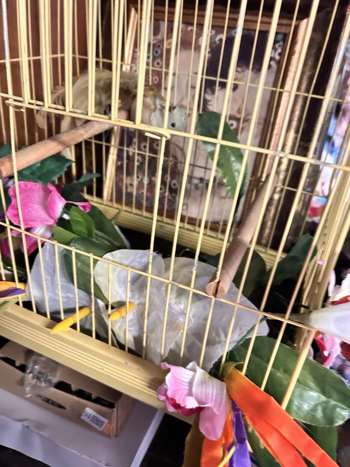 Vintage Antique Hanging or Tabletop Bird Cage CROWN Perch & Swing - Image 2 of 4