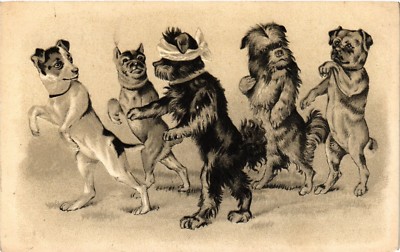 PC CPA HUND, HUNDE LAUFEN WIE MENSCHEN, VINTAGE GEPRÄGTE POSTKARTE (b3544)
