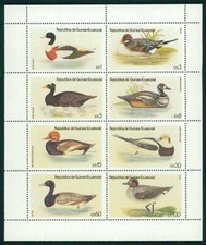 GUINEA KLEINBOGEN V&Ouml;GEL ENTEN ENTE DUCK m3888